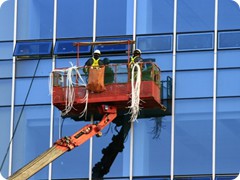 crane_washing